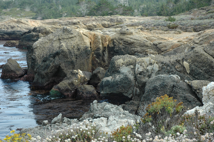 Point Lobos 024.jpg